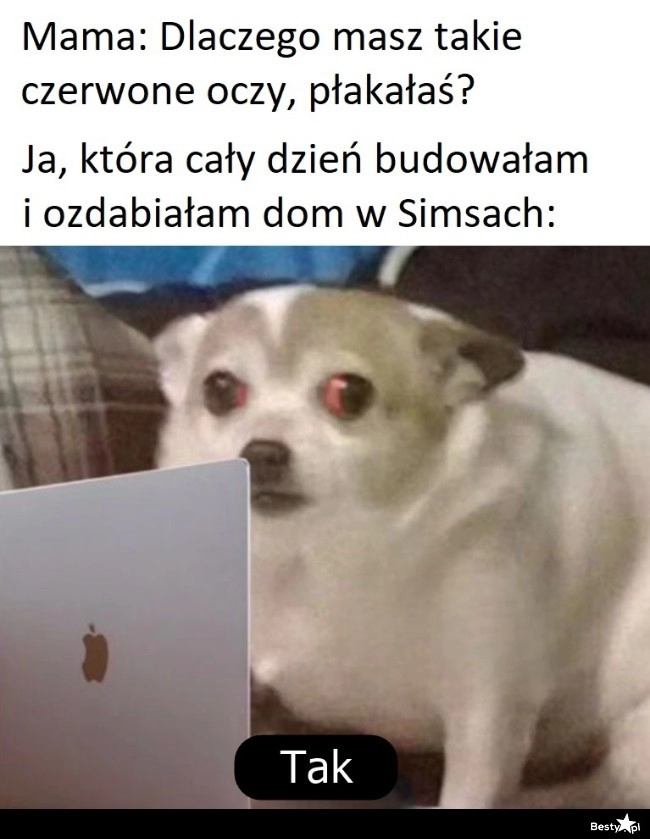 
    Głupio się przyznać 