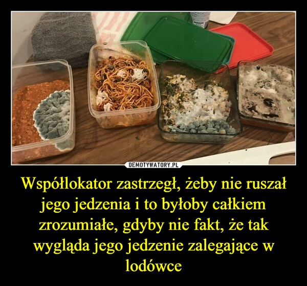 
    Współlokator zastrzegł, żeby nie ruszał jego jedzenia i to byłoby całkiem zrozumiałe, gdyby nie fakt, że tak wygląda jego jedzenie zalegające w lodówce