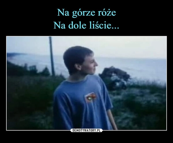 
    Na górze róże
Na dole liście...