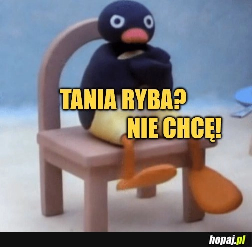 
    Pingwiny odmawiają jedzenia tańszej ryby po cięciach kosztów w japońskim akwarium.