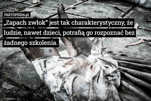 
    „Zapach zwłok” jest tak charakterystyczny, że ludzie, nawet dzieci, potrafią