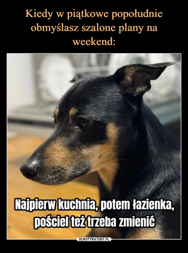 
    Kiedy w piątkowe popołudnie obmyślasz szalone plany na weekend: