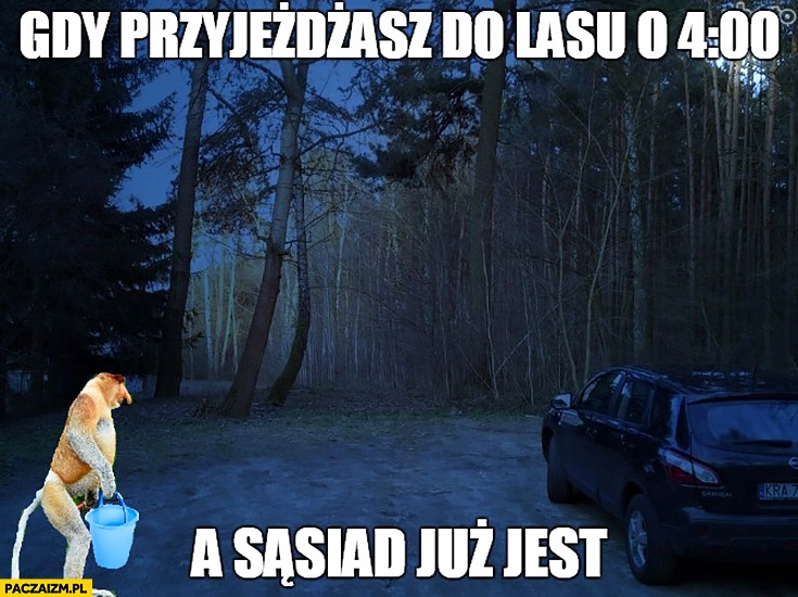 
    Gdy przyjeżdżasz do lasu o 4 rano a sąsiad już jest typowy Polak nosacz małpa