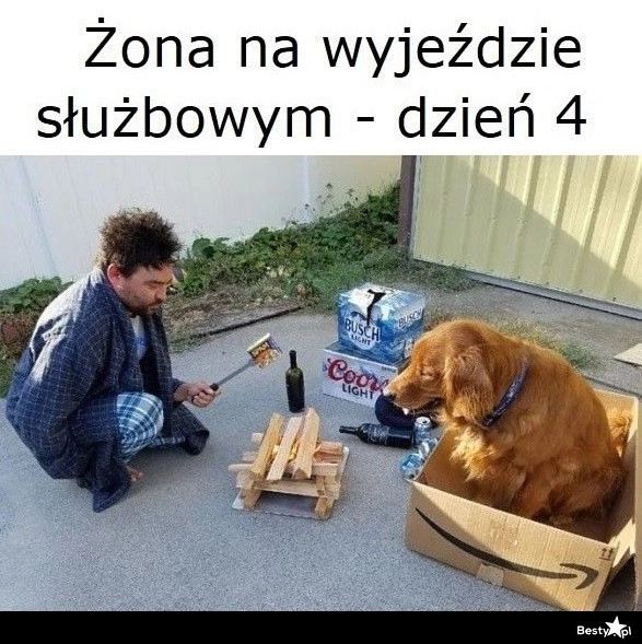 
    Walka o przetrwanie 