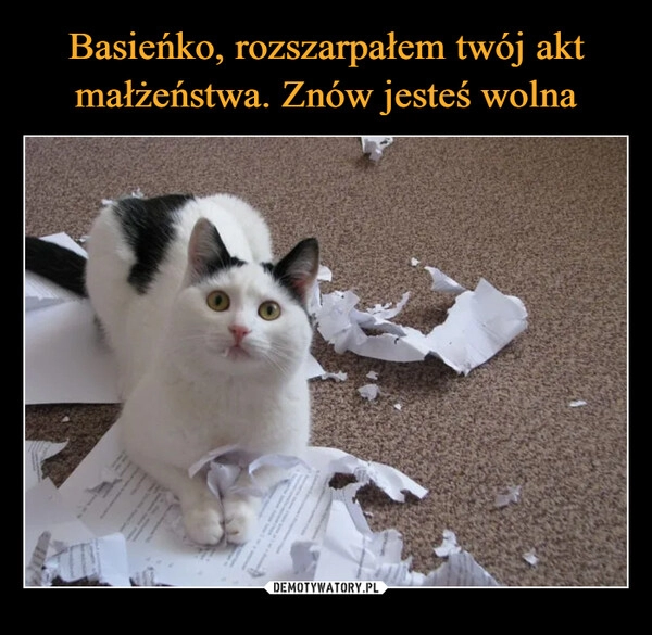 
    Basieńko, rozszarpałem twój akt małżeństwa. Znów jesteś wolna