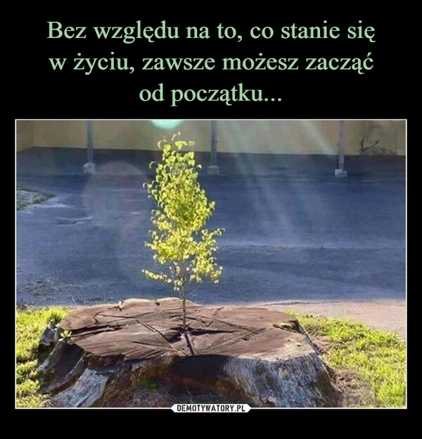 
    Bez względu na to, co stanie się
w życiu, zawsze możesz zacząć
od początku...