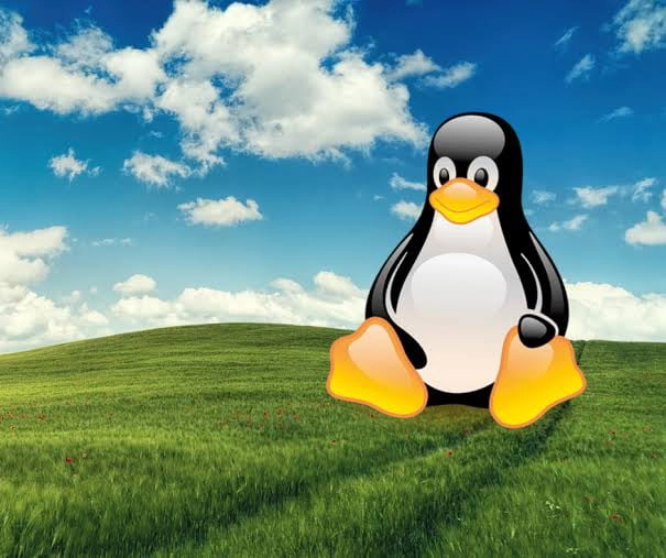
    Computer science guys, which OS you use on your desktop?