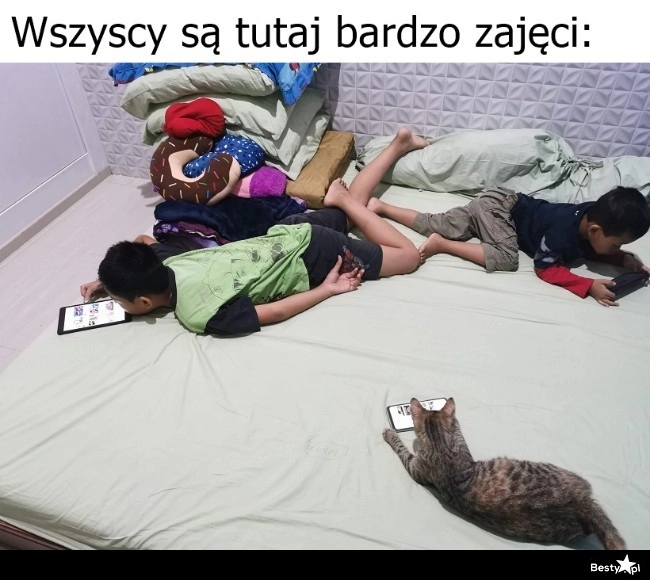 
    Zajęta rodzinka 