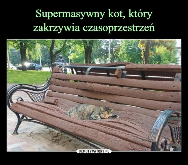 
    Supermasywny kot, który
zakrzywia czasoprzestrzeń