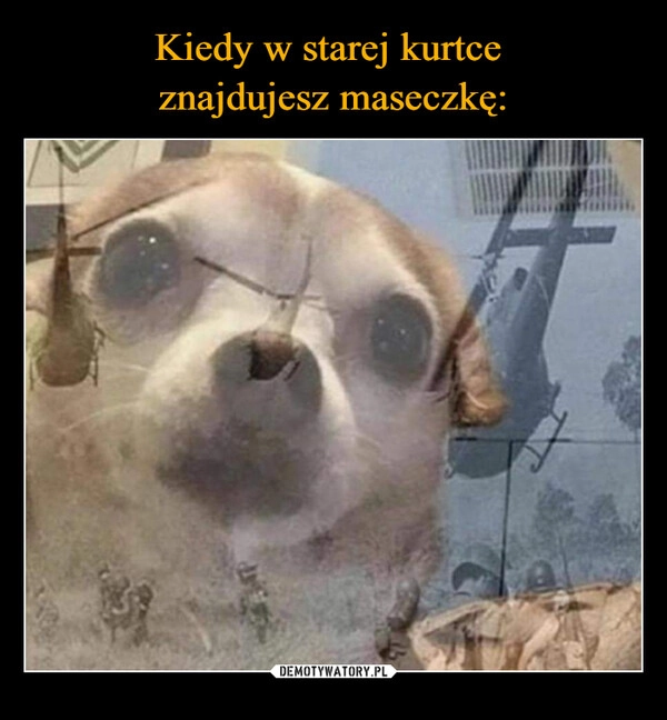 
    Kiedy w starej kurtce 
znajdujesz maseczkę: