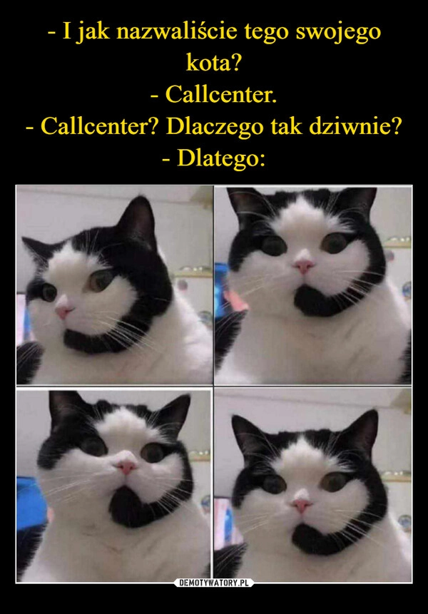 
    - I jak nazwaliście tego swojego kota?
- Callcenter.
- Callcenter? Dlaczego tak dziwnie?
- Dlatego: