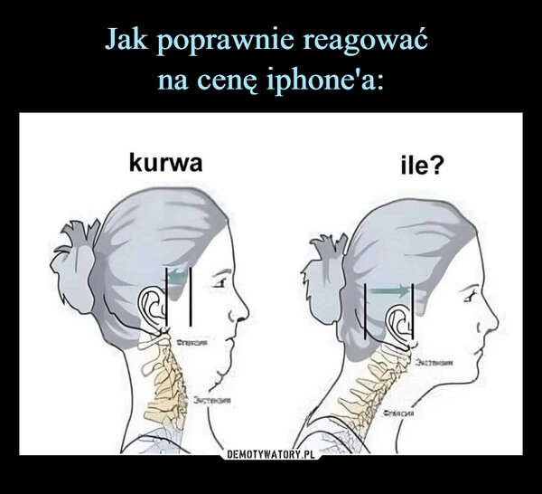 
    Jak poprawnie reagować 
na cenę iphone'a: