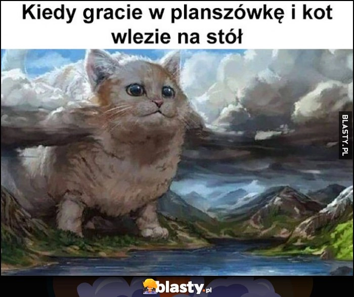 
    Kiedy gracie w planszówkę i kot wlezie na stół