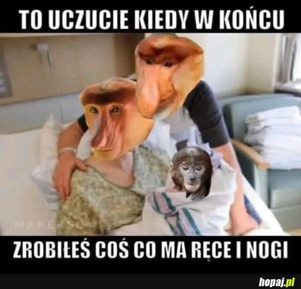 
    Sukces