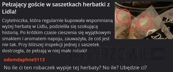 
    Pełzający goście