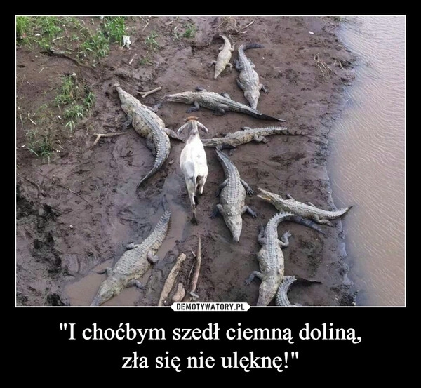 
    "I choćbym szedł ciemną doliną,
zła się nie ulęknę!"