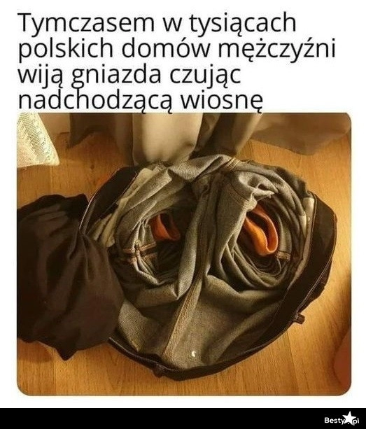 
    Wiosenne, męskie gniazda 