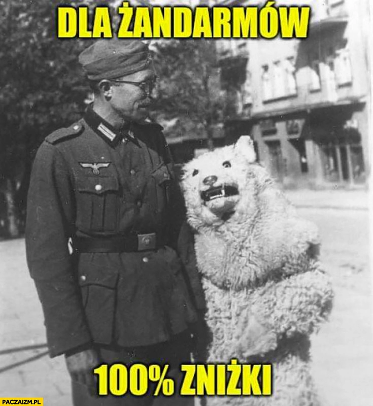 
    Miś Zakopane dla żandarmów 100% zniżki za zdjęcie