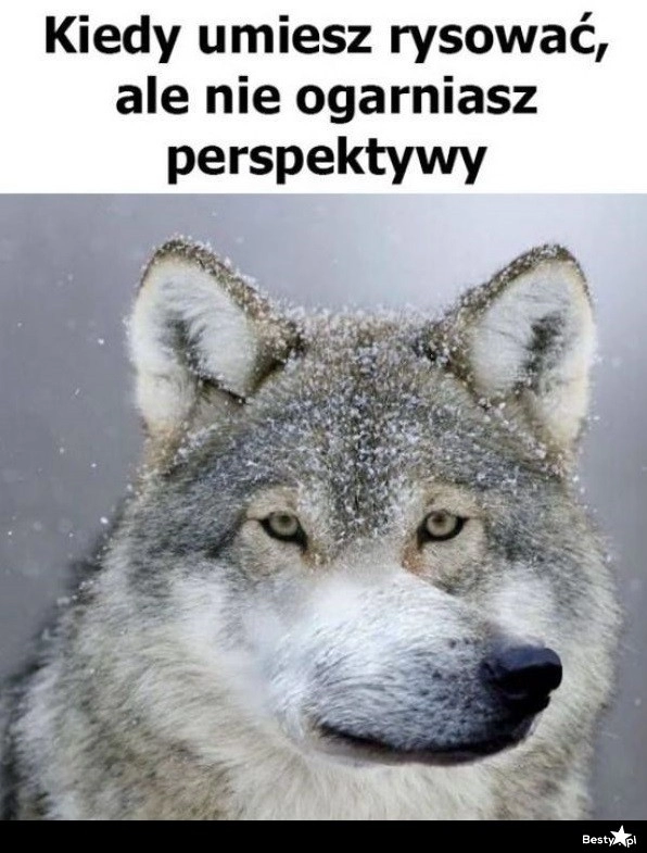 
    Perspektywa 