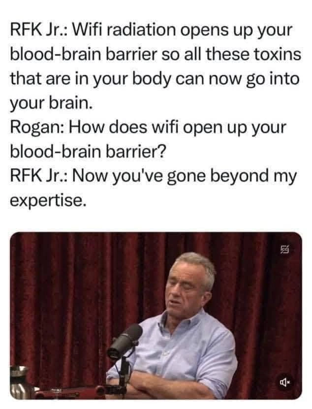 
    Big Brain Time!