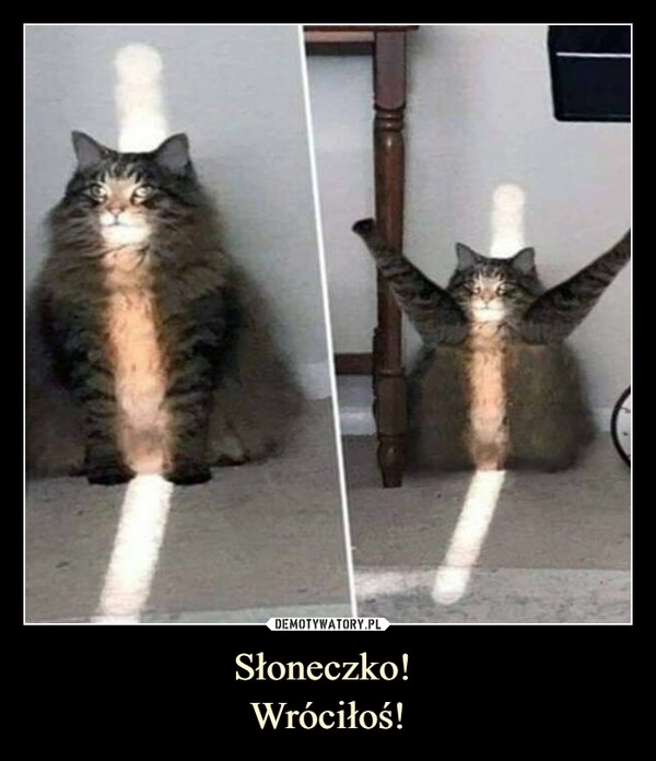 
    Słoneczko! 
Wróciłoś!