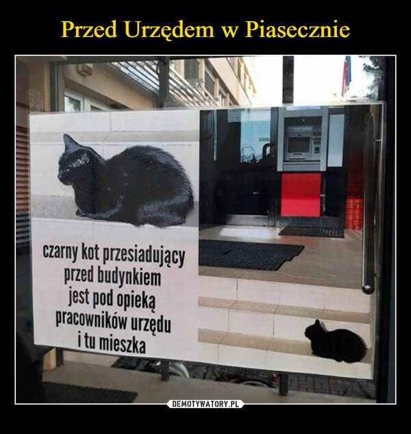 
    
Przed Urzędem w Piasecznie 