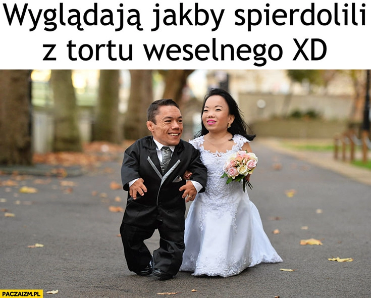 
    Wyglądają jakby spierdzielili z tortu weselnego mali ludzie karły ślub