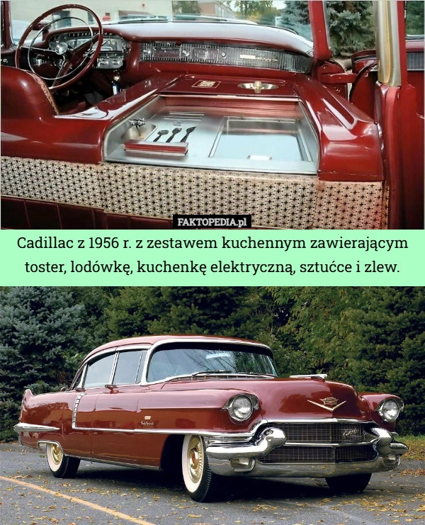 
    Cadillac z 1956 r. z zestawem kuchennym zawierającym toster, lodówkę, kuchenkę