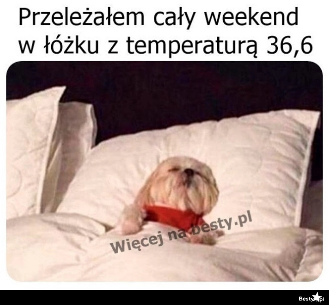 
    Trzeba było się wykurować 