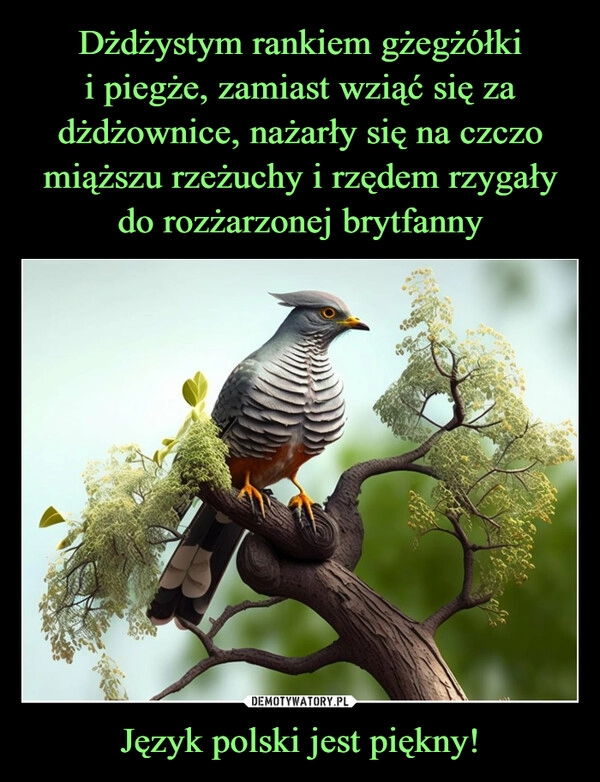 
    Dżdżystym rankiem gżegżółki
i piegże, zamiast wziąć się za dżdżownice, nażarły się na czczo miąższu rzeżuchy i rzędem rzygały do rozżarzonej brytfanny Język polski jest piękny!