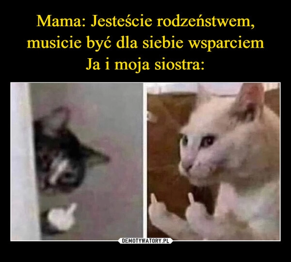 
    Mama: Jesteście rodzeństwem, musicie być dla siebie wsparciem
Ja i moja siostra: