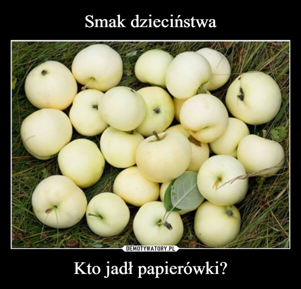 
    Smak dzieciństwa Kto jadł papierówki?