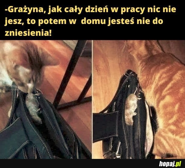 
    Dziękuję, kitku!