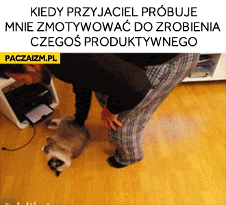 
    Kiedy przyjaciel próbuje mnie zmotywowac do zrobienia czegoś produktywnego