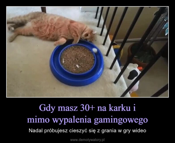 
    Gdy masz 30+ na karku i
mimo wypalenia gamingowego