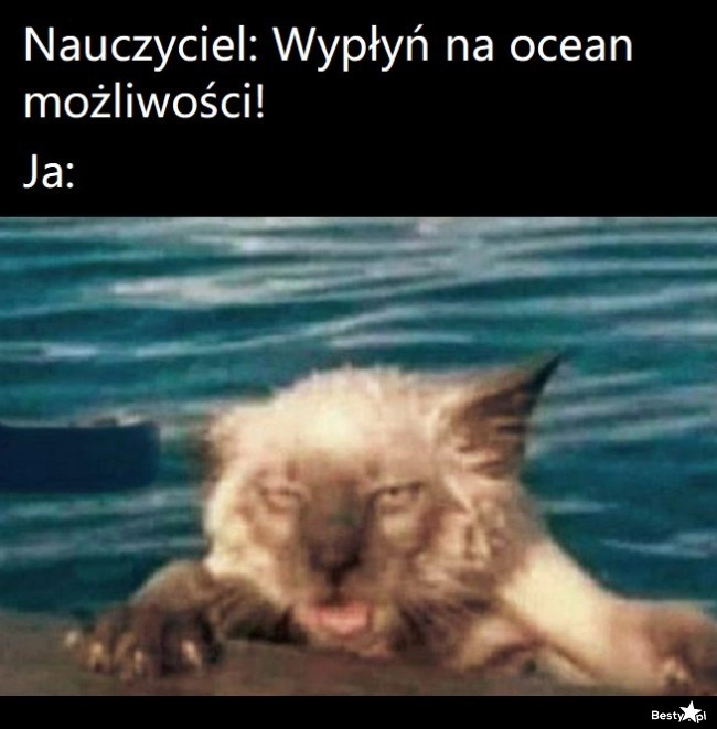 
    Ocean możliwości 