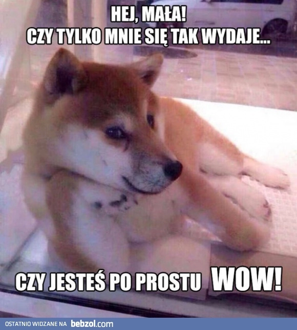 
    Pieseł podrywacz