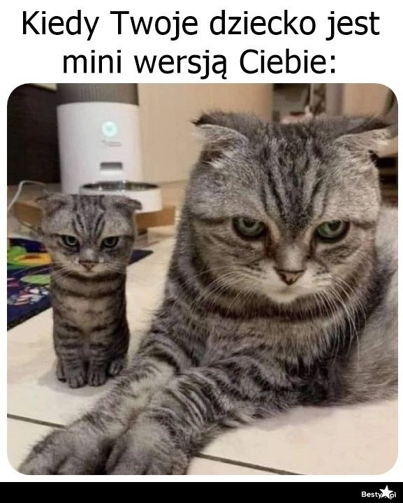 
    Genów nie oszukasz 