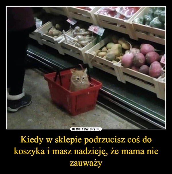 
    Kiedy w sklepie podrzucisz coś do koszyka i masz nadzieję, że mama nie zauważy