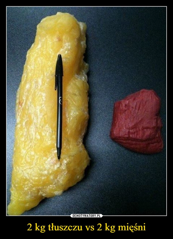 
    2 kg tłuszczu vs 2 kg mięśni