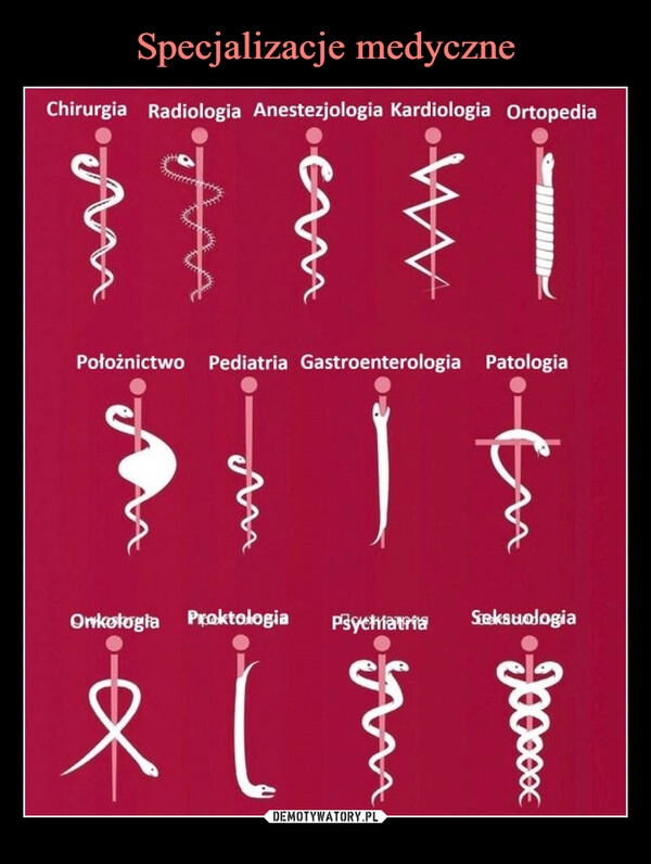 
    
Specjalizacje medyczne 
