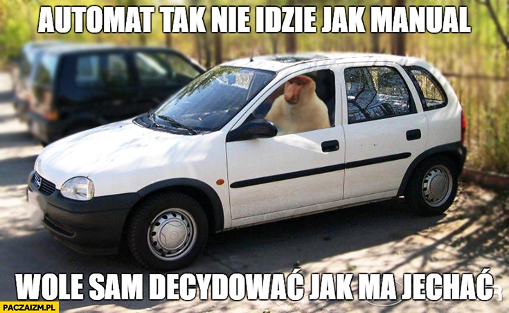 
    Automat tak nie idzie jak manual, wolę sam decydować jak ma jechać. Typowy Polak nosacz