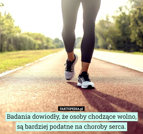 
    
			Badania dowiodły, że osoby chodzące wolno, są bardziej podatne na choroby					