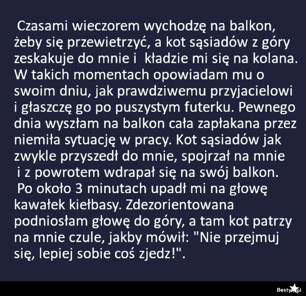 
    Kot sąsiadów 