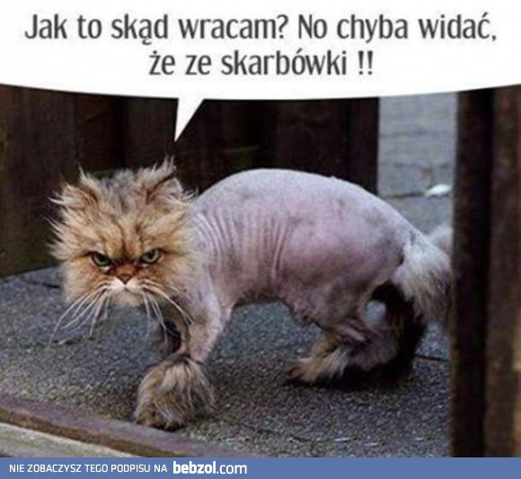 
    Jak to skąd wracam?