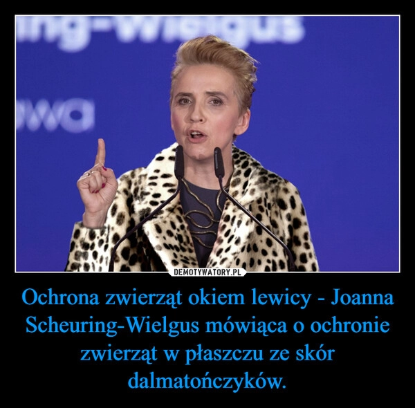 
    Ochrona zwierząt okiem lewicy - Joanna Scheuring-Wielgus mówiąca o ochronie zwierząt w płaszczu ze skór dalmatończyków.