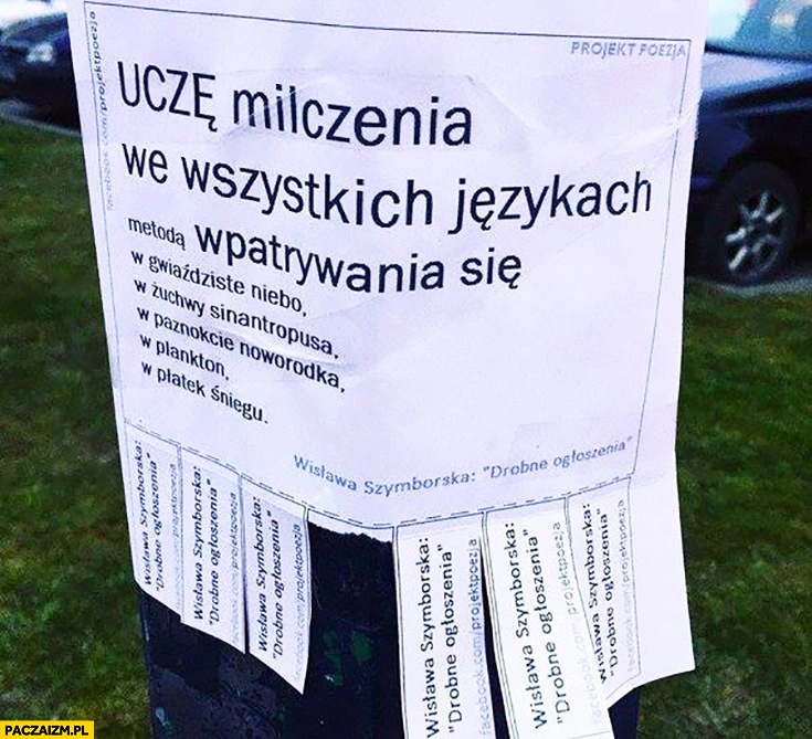 
    Uczę milczenia we wszystkich językach metodą wpatrywania się ogłoszenie