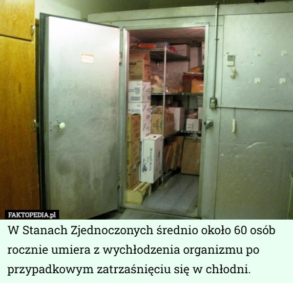 
    W Stanach Zjednoczonych średnio około 60 osób rocznie umiera z wychłodzenia...