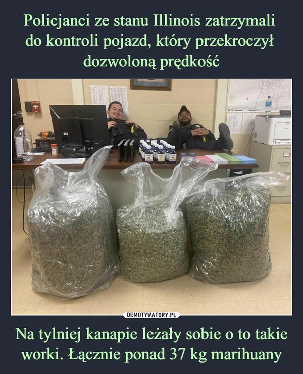 
    Policjanci ze stanu Illinois zatrzymali 
do kontroli pojazd, który przekroczył 
dozwoloną prędkość Na tylniej kanapie leżały sobie o to takie worki. Łącznie ponad 37 kg marihuany