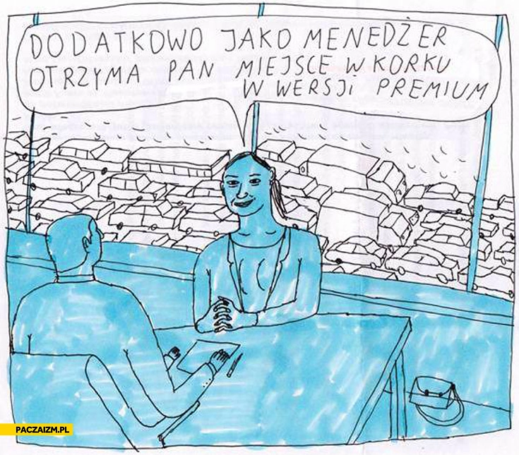 
    Dodatkowo jako menedżer otrzyma pan miejsce w korku w wersji premium
